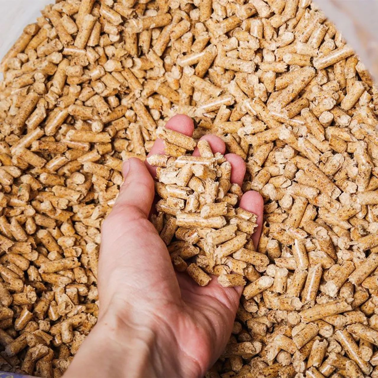 Pellet