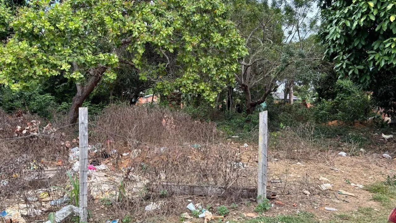 TERRENO