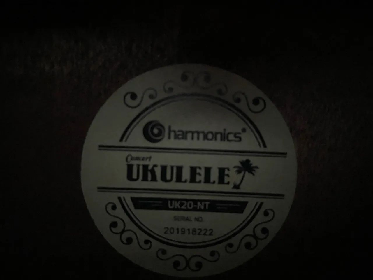 Ukulele - Foto 3