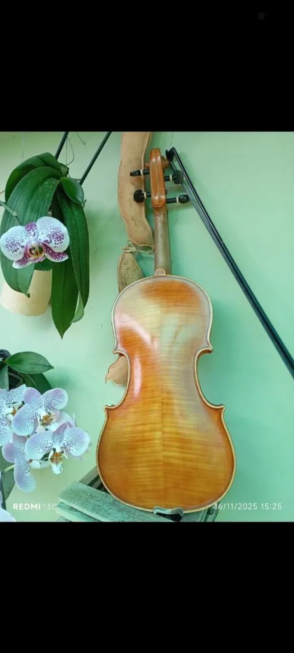 Violino - Foto 3