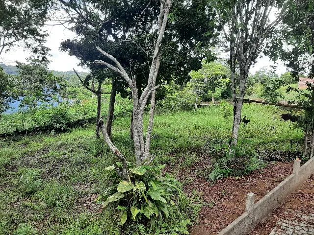 Terreno em Aldeia (700m2) - Foto 4