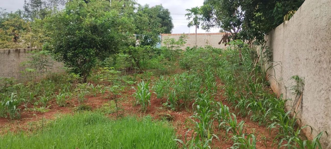Lote em São Joaquim de Bicas - Foto 5