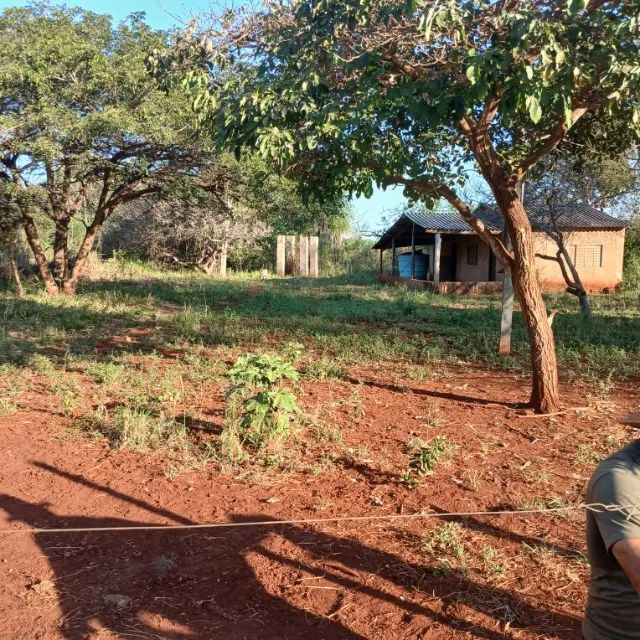 VENDO 2 CHACARÁ EM TERENOS 7 HA CADA  - Foto 2