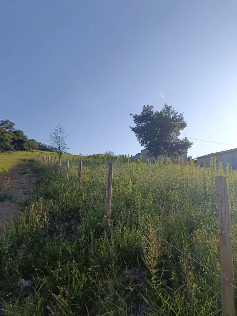 Terreno em Paraibuna - Foto 3