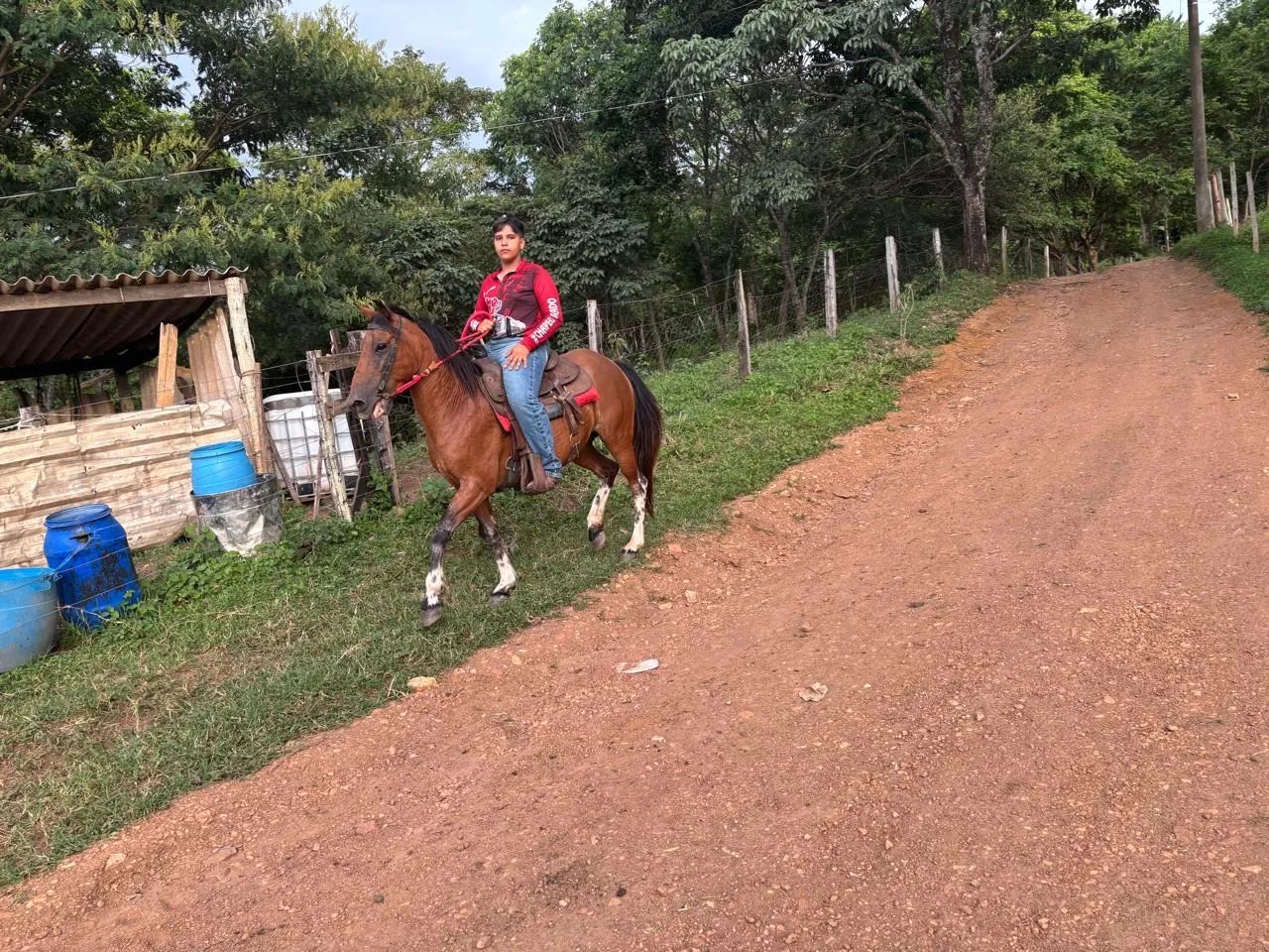 Égua 