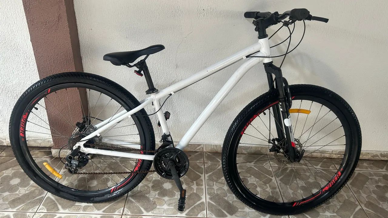 Bicicleta aro 29