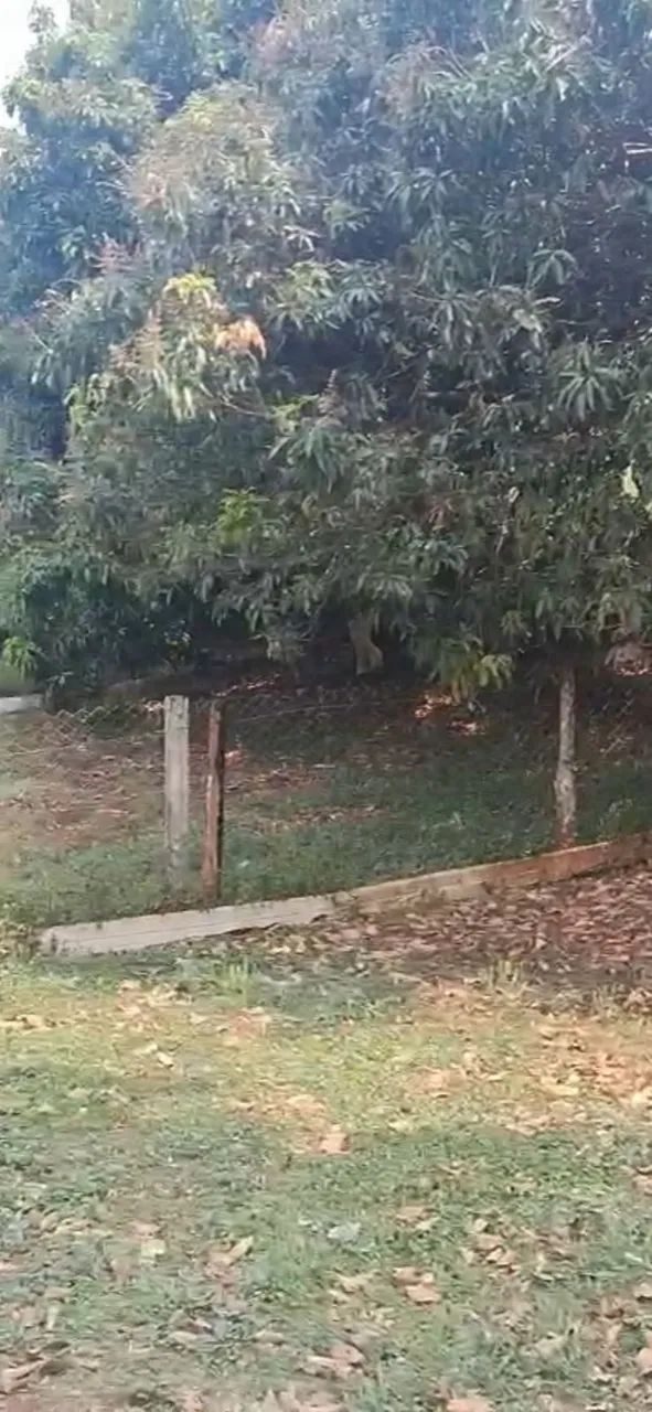 Chácara com 3.900m² em Piranguinho - MG - Foto 2