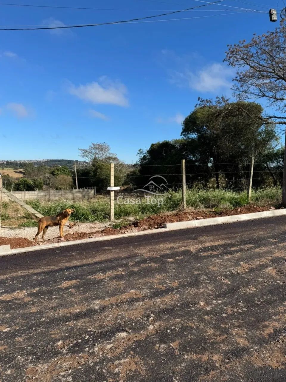 Terreno à venda Neves - Foto 2
