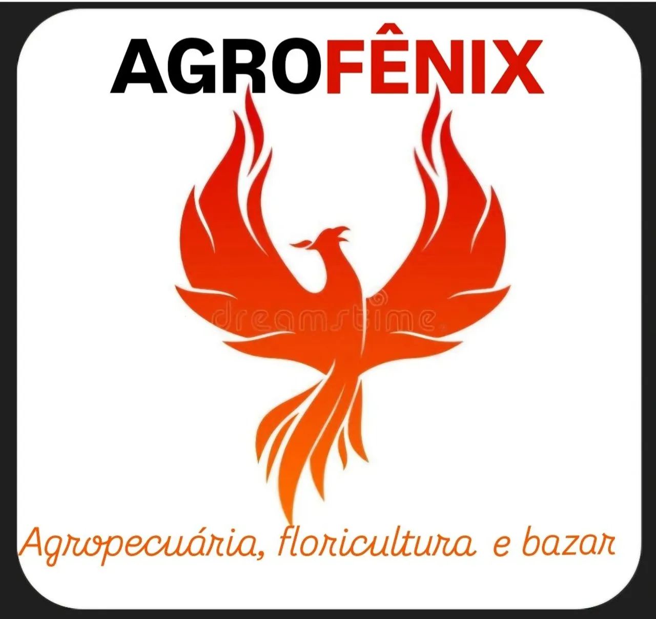 Passo ponto  - Foto 3