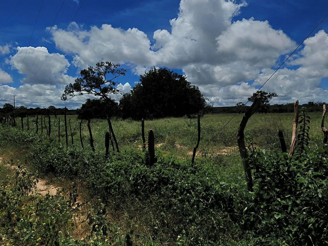 Fazenda em Morro do chapeu - Foto 2