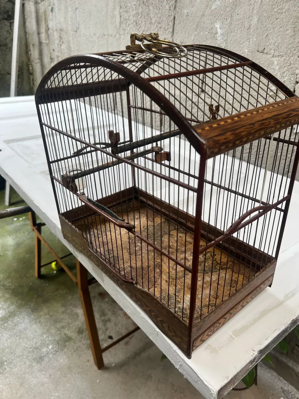 Gaiolas disponíveis  - Foto 2