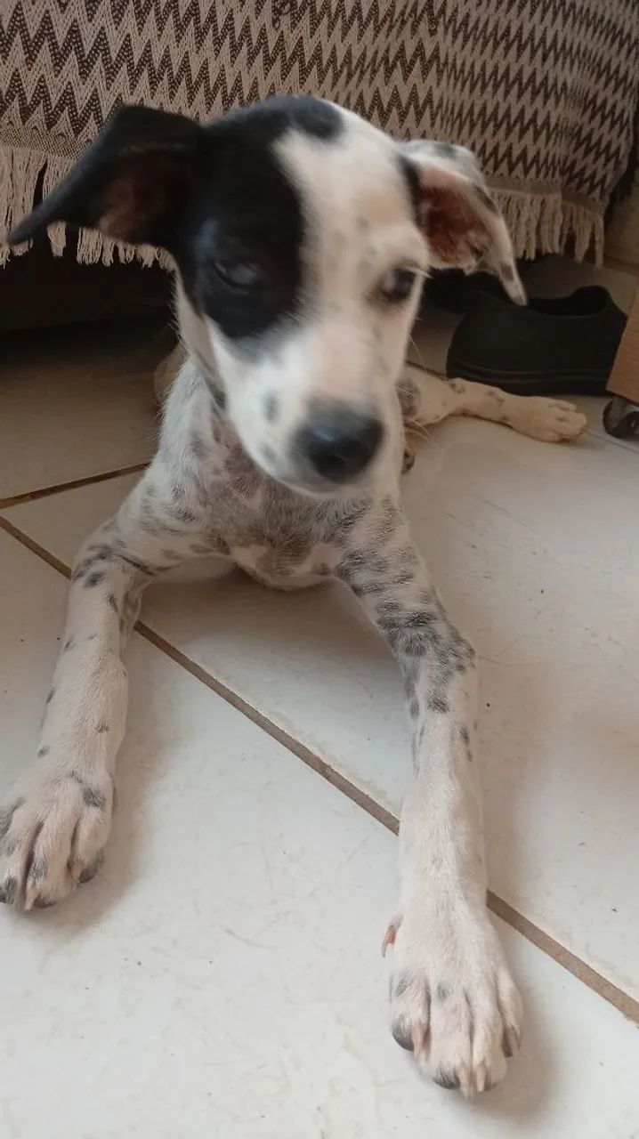 Doação 