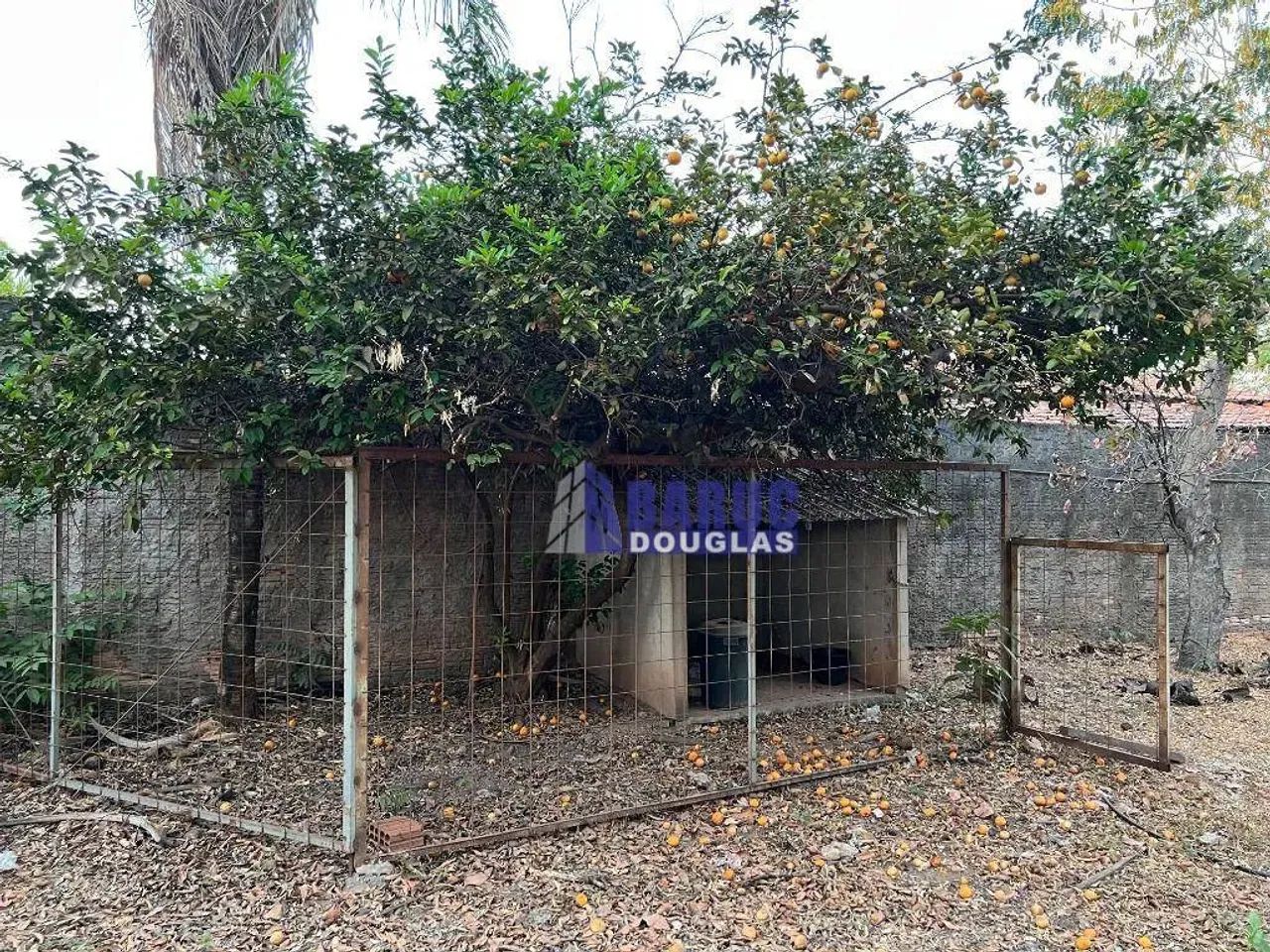 Aluga-se ótimo barracão com 144m2 de área construída, terreno de 1.200m2 no Ribeirão da po - Foto 5