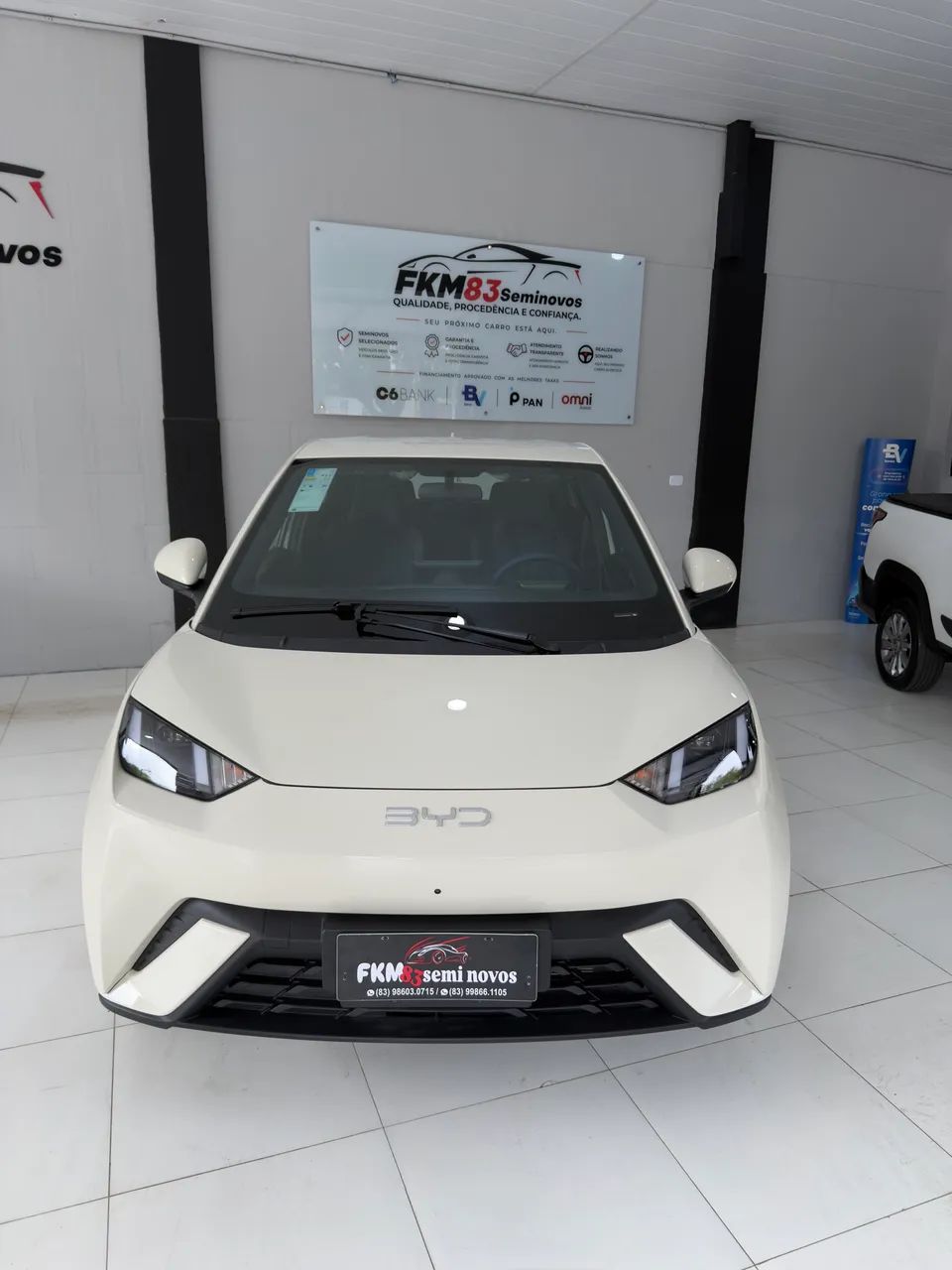 BYD Dolphin GS (Elétrico) 2027 - Foto 3