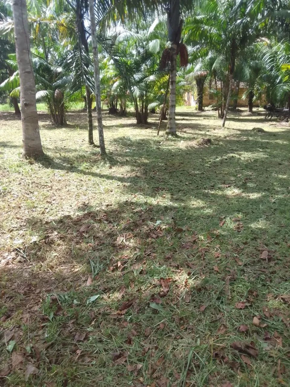 Terreno no curuçamba, ananideua-PA