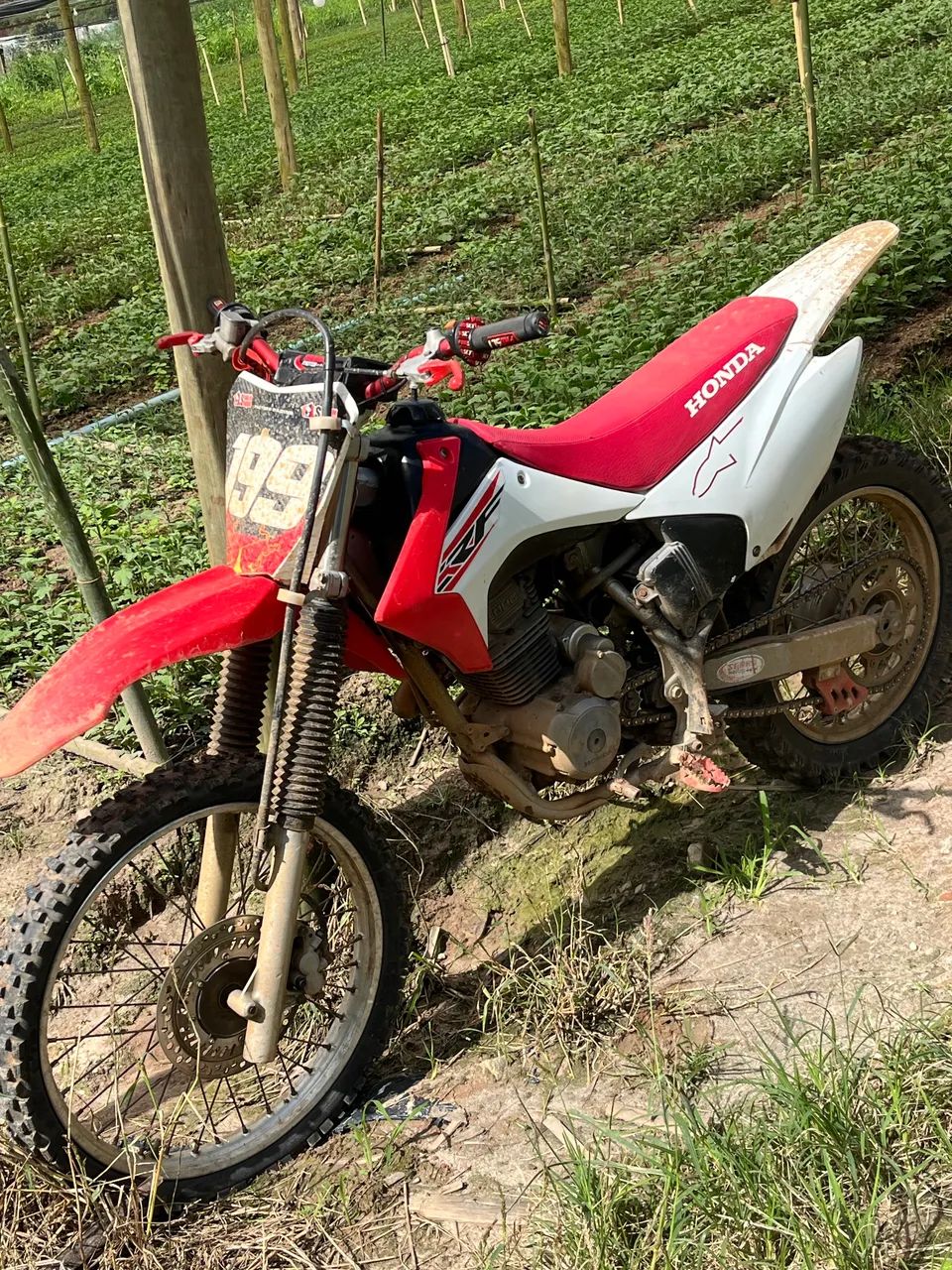 CRF 230F 