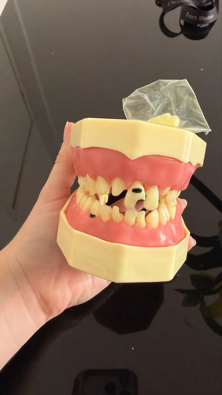 Manequim Orais (materiais dentários)