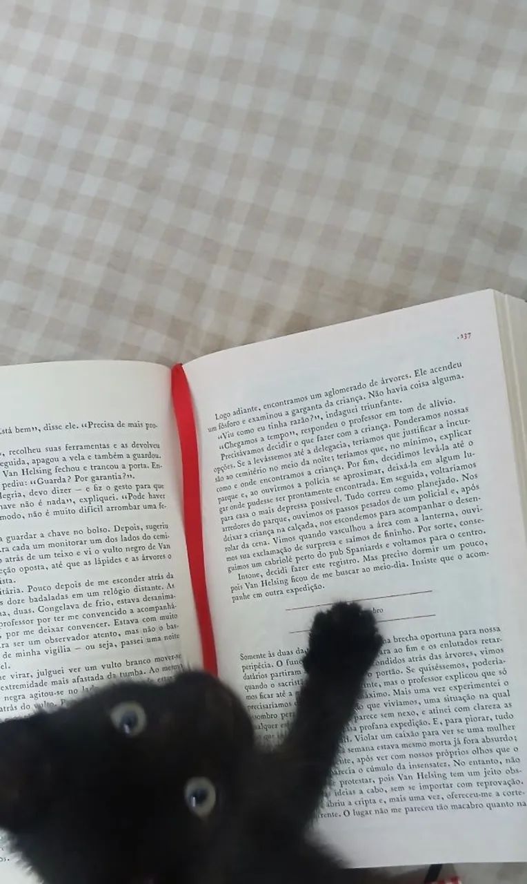 Adoção responsável - gatinha filhote - Foto 5