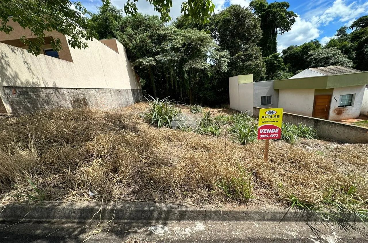 Vendas Terreno Pato Branco PR - Foto 3