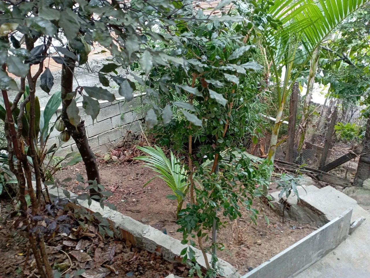 Excelente casa em bairro Teresópolis  - Foto 4