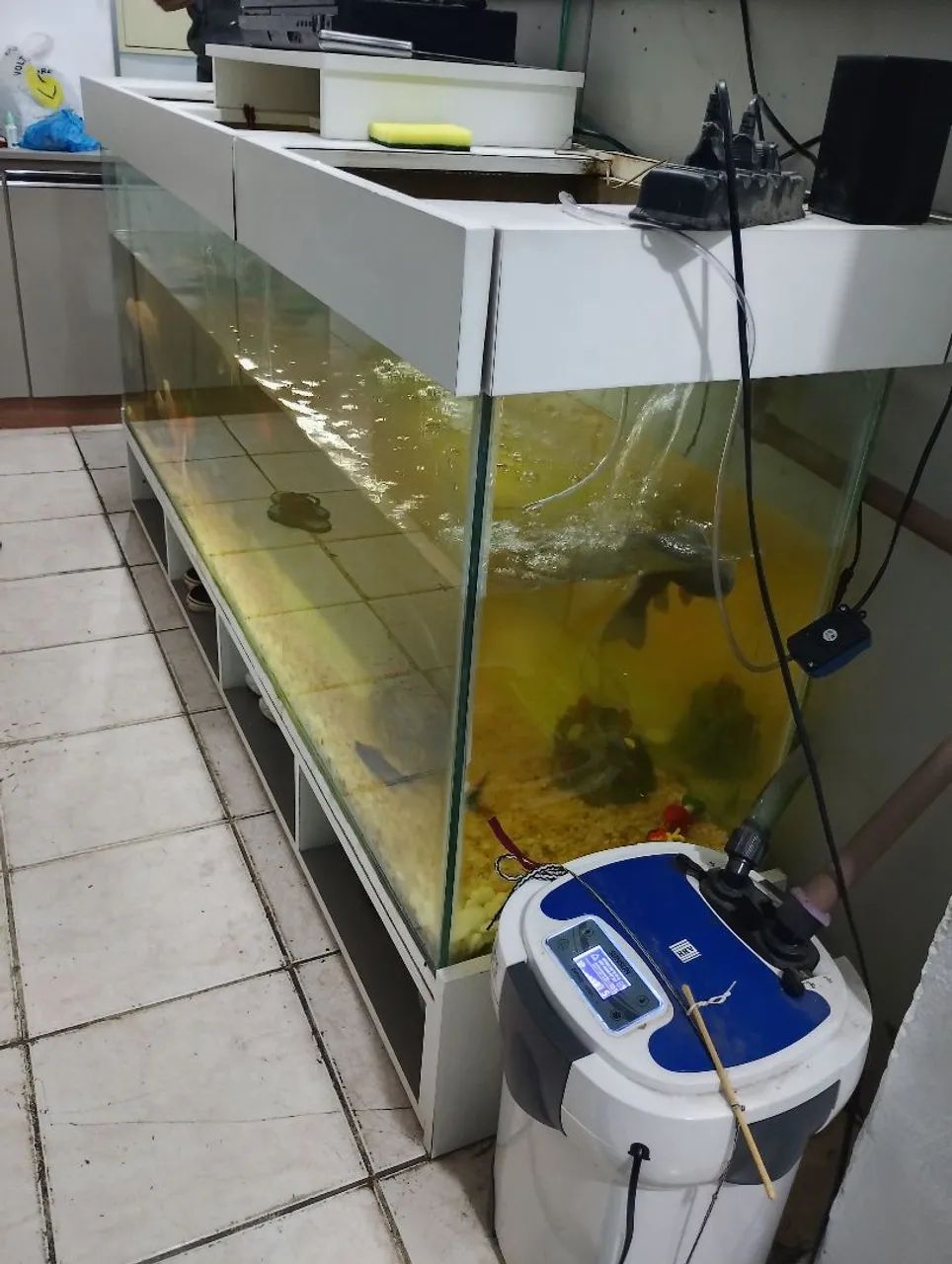 Aquário gigante  - Foto 2