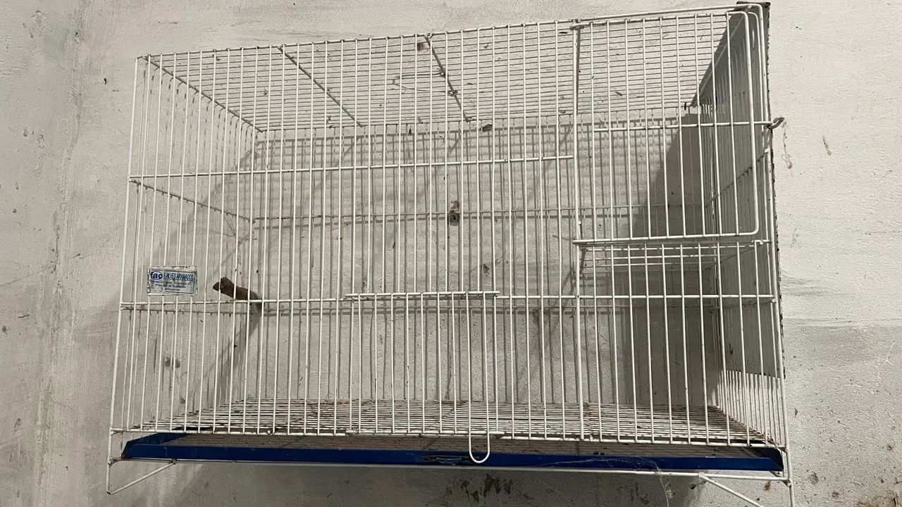 Gaiola