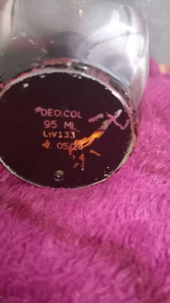 Eudora velvet - Foto 3