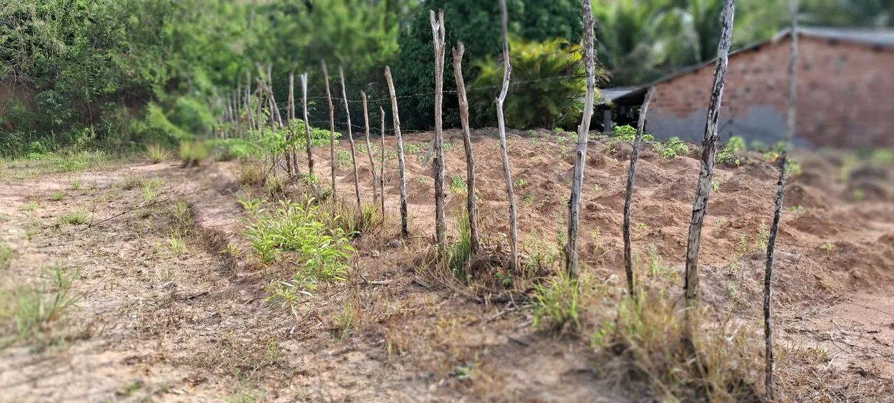 Venda de Terreno  - Foto 3