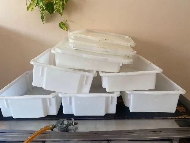 Organizadora  - Foto 2
