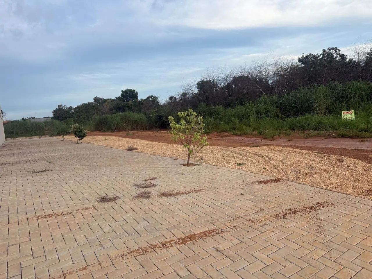 Vendo terreno na ACSO 80  - Foto 4