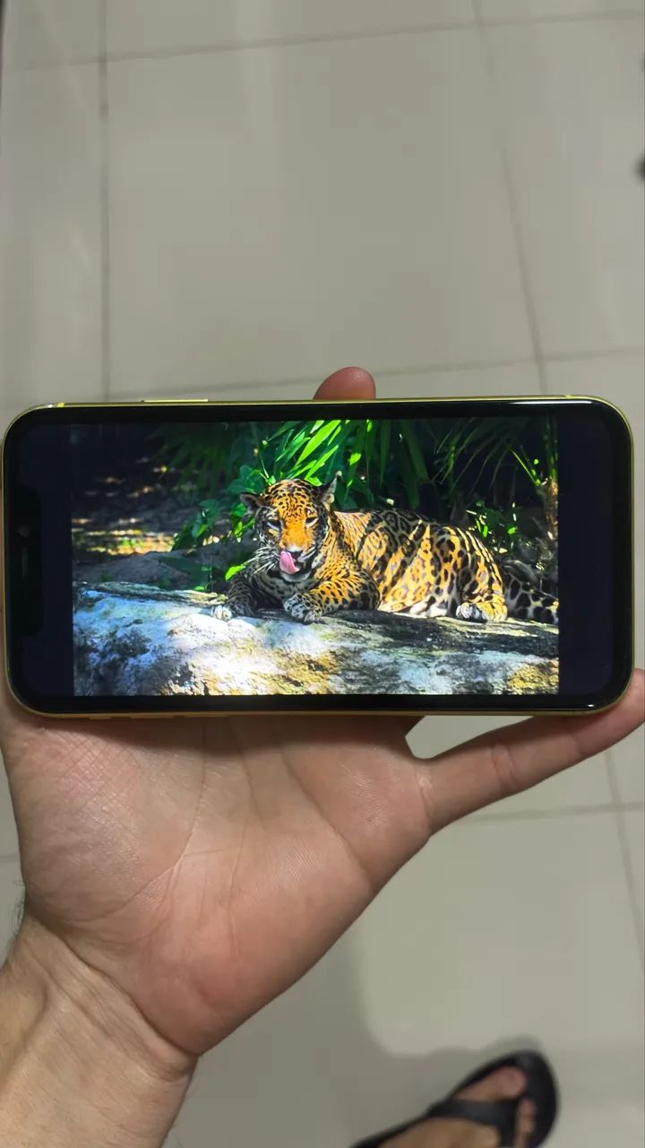 iPhone 11 256gb - Foto 3