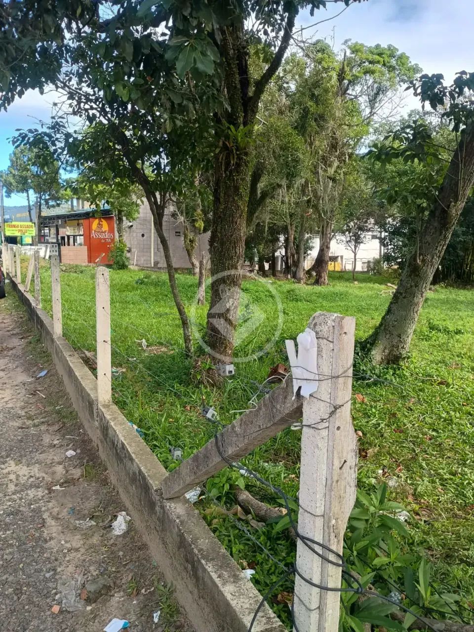 TERRENO - São João do Rio Vermelho - HS-351017 - Foto 3