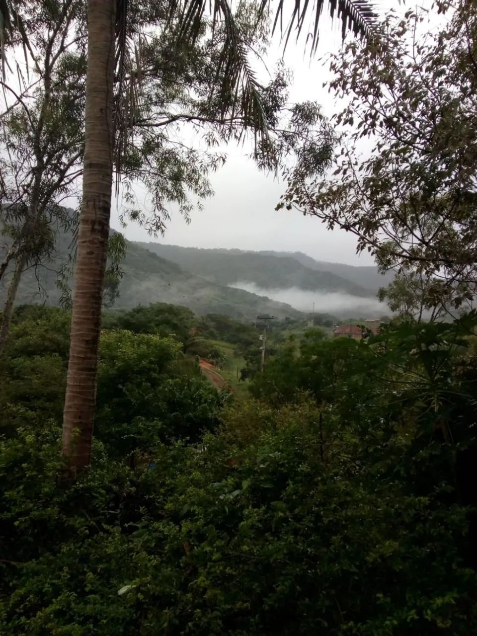 Terreno em Maranguape - Foto 3