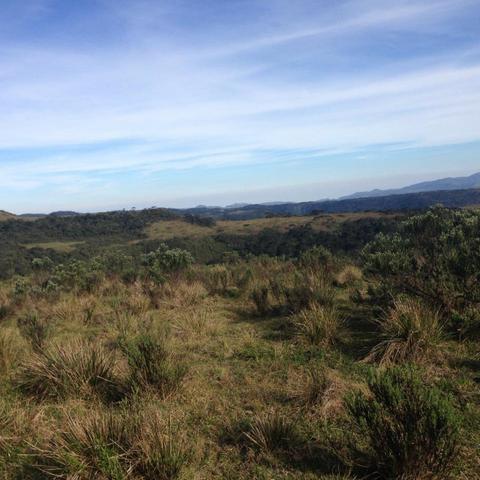 Fazenda em Urubici - SC - Foto 19