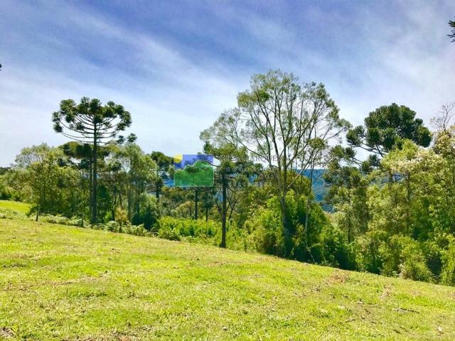 Terreno 2 hectares em Urubici - Foto 7