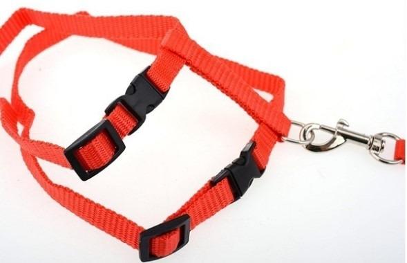 Coleira Guia Gato Coelho Cão Furão - Foto 6