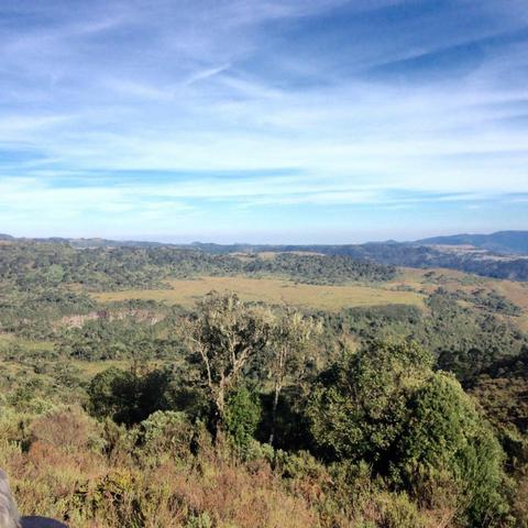 Fazenda em Urubici - SC - Foto 11