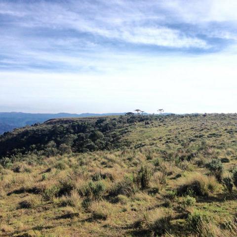 Fazenda em Urubici - SC - Foto 13