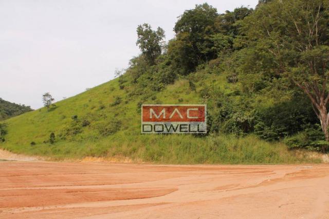Terreno plano de 40.000 mts² em Papucaia - Foto 20
