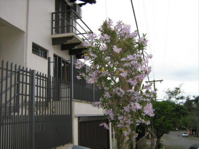 Casa à venda com 4 dormitórios em Centro, Estrela cod:LU268643 - Foto 8