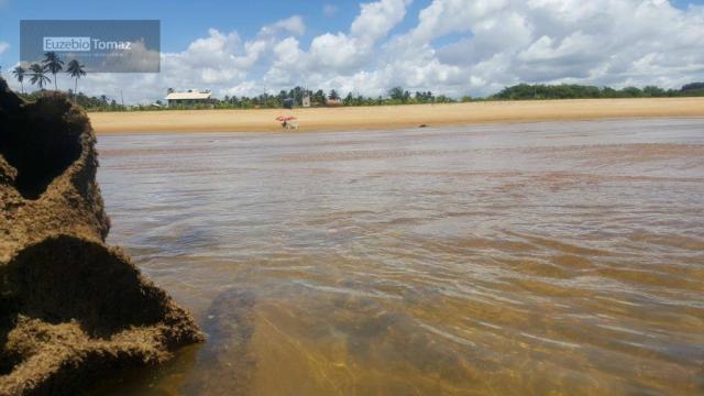 Terreno em condomínio fechado à beira mar no sonho verde - Foto 3