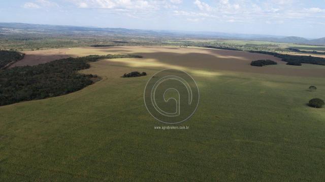 Fazenda à venda, 978 ha, região do manso - Foto 2