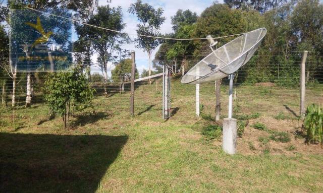 Ch0190 mandirituba chácara 4.400 m² vendo ou troco lugar bom de conhecer - Foto 16