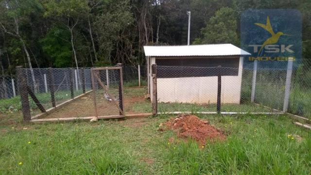 Ch0315 - são josé dos pinhais chácara 20.000 m² casa nova formada lago - Foto 12