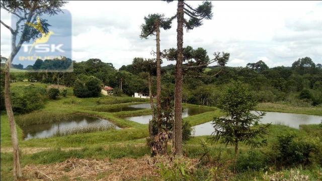 Chácara à venda, agudos do sul. ch0266