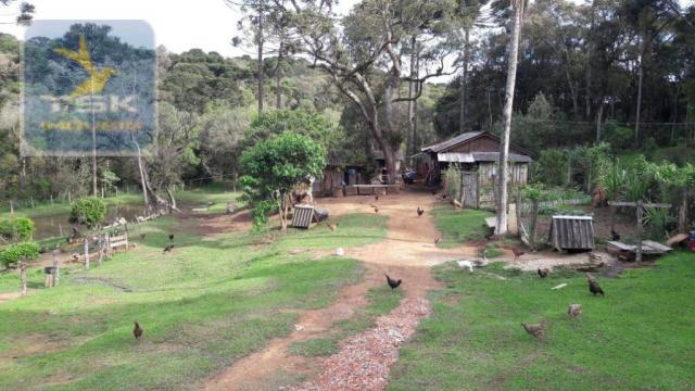 Ch0311 - mandirituba - chácara 10.000 m² com casa antes do pedágio - Foto 12