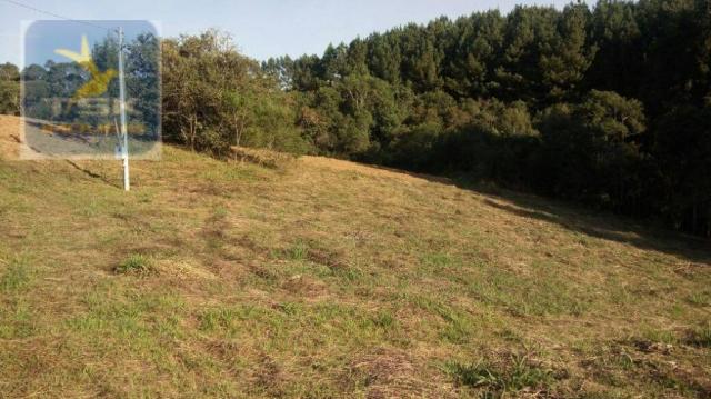 CH0314 Mandirituba 4.200 m² de área p/ Chácara com tanque luz 300 m asfalto