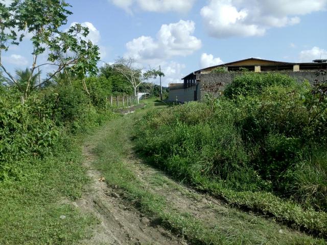 Casa em terminio de construção - Foto 2