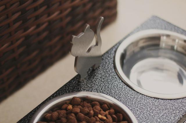 Comedouro para Gatos - Foto 6