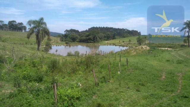 Fa0009 fazenda à venda, 605000 m² por r$ 3.150.000 - zona rural - quitandinha/pr - Foto 6